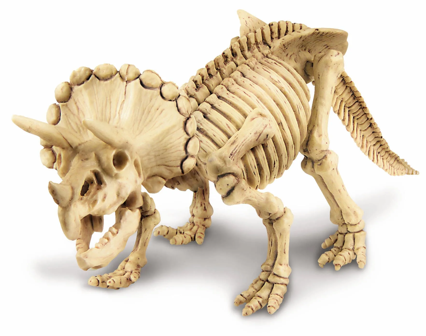 4M Kidz Labs Dinosaur Excavation Kit Triceratops