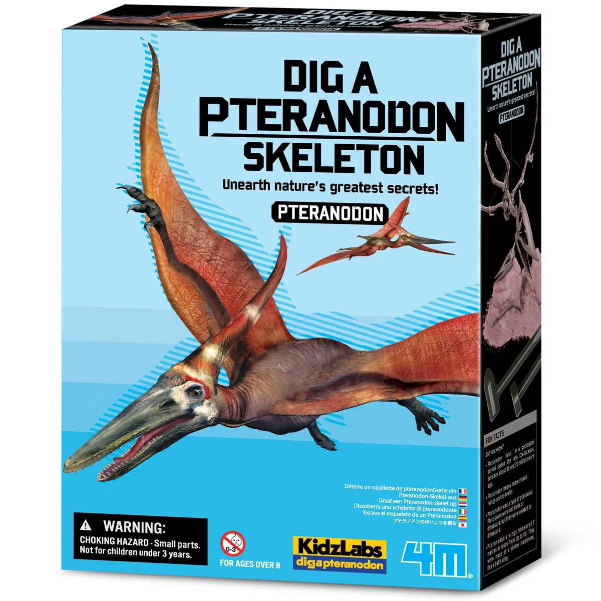 4M Kidzlabs/Dig A Pteranodon Skeleton