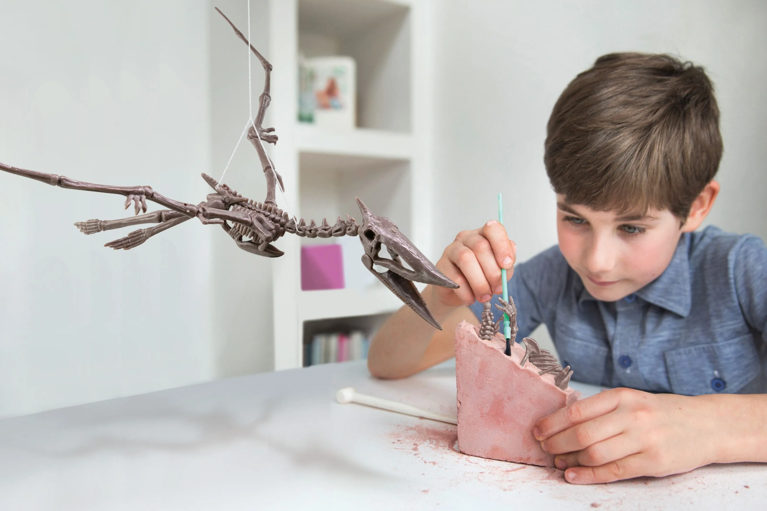 4M Kidzlabs/Dig A Pteranodon Skeleton