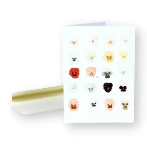 A Taxonomy of Pansies Card