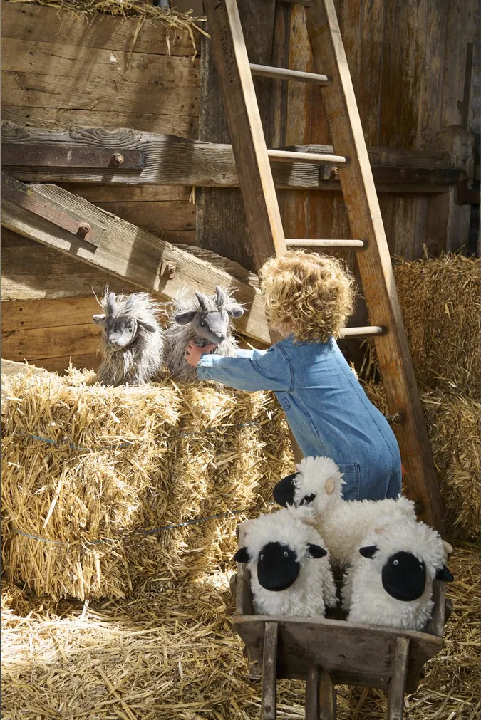 Aiden the Angora Goat
