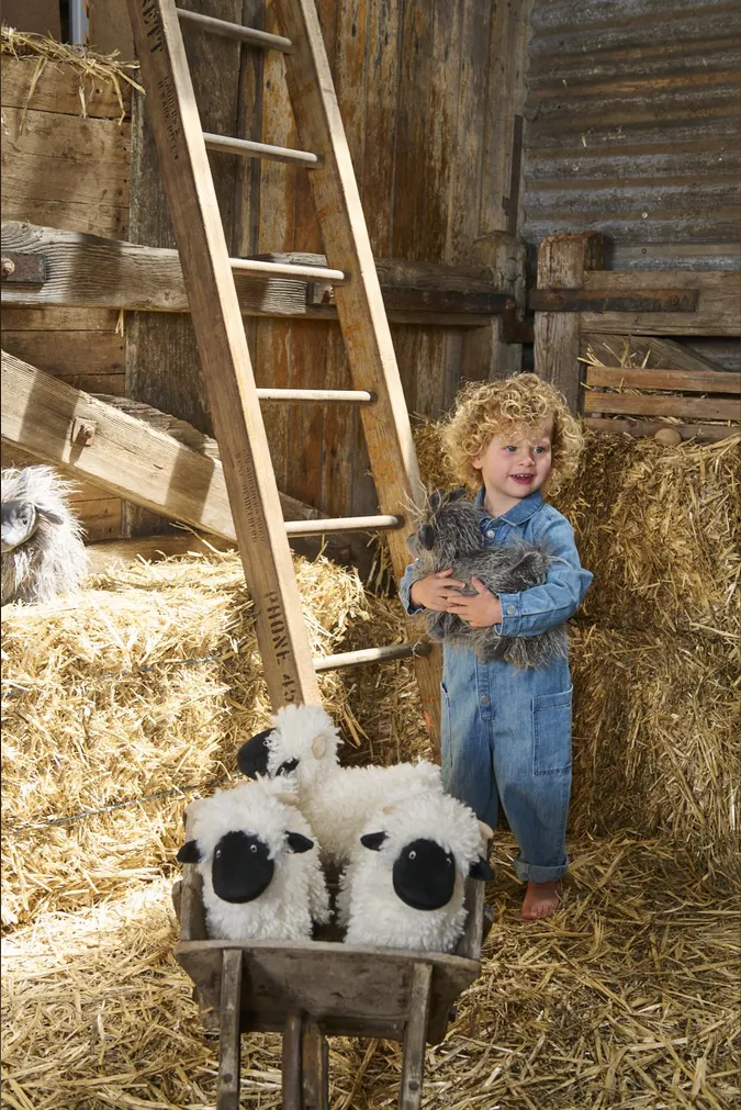 Aiden the Angora Goat