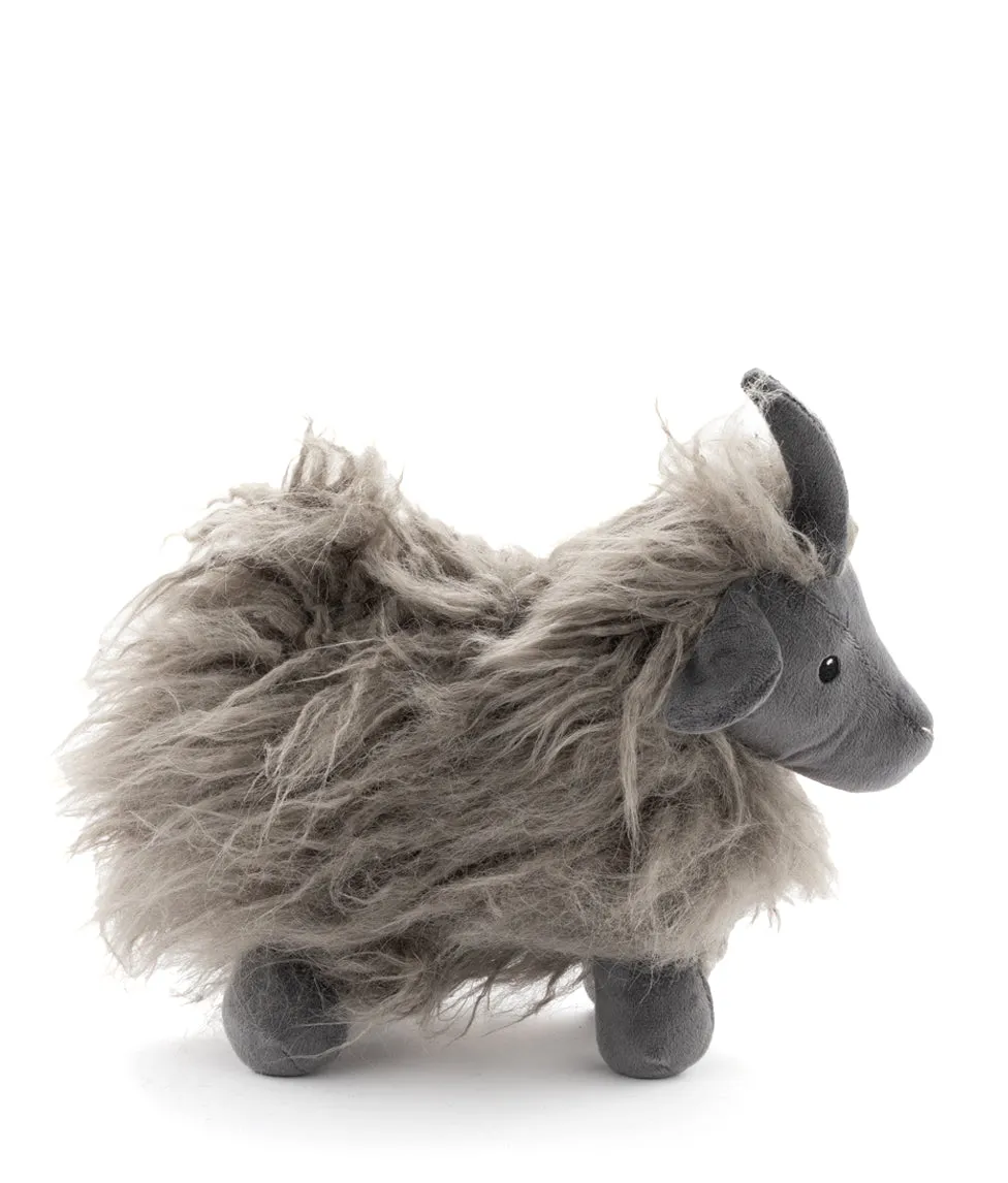 Aiden the Angora Goat