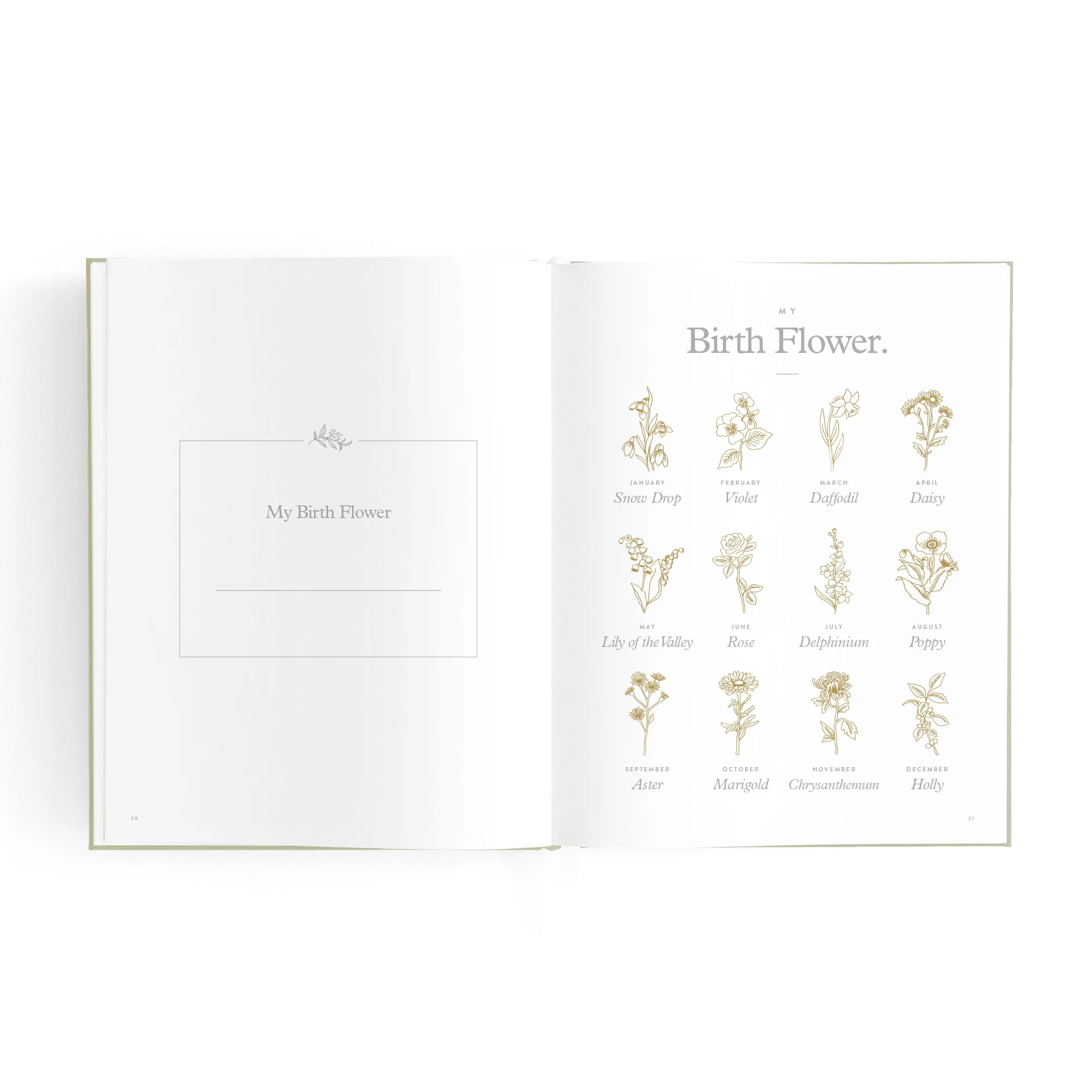 Baby Book Mini SAGE