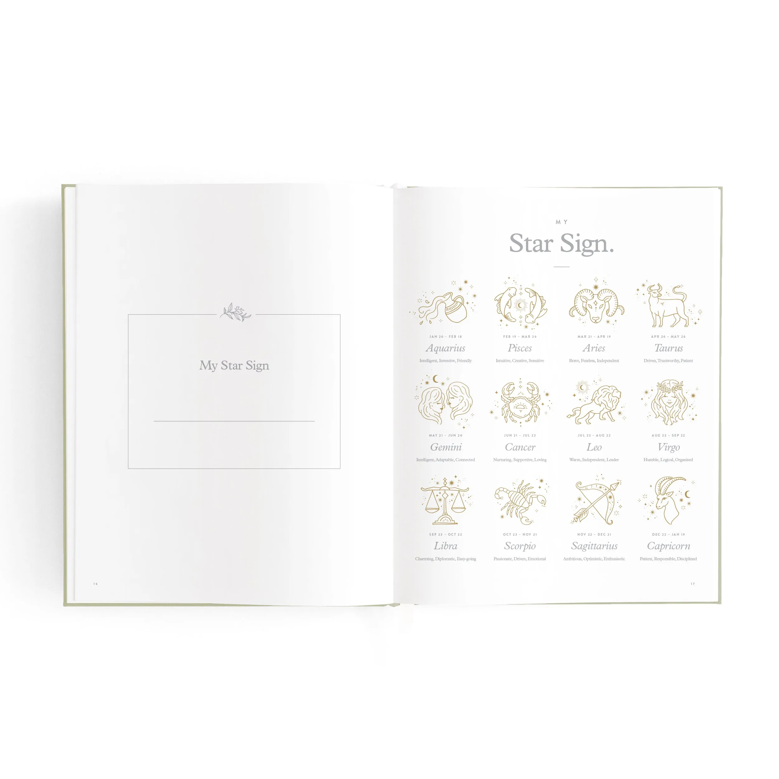 Baby Book Mini SAGE