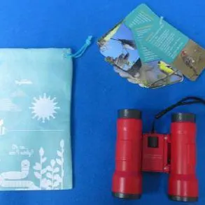 Beetle & Bee Garden Little Birder Set