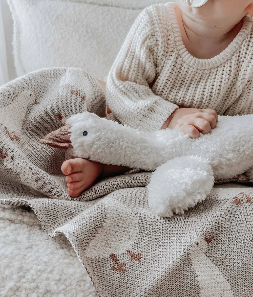 Bengali Teddy | Goose