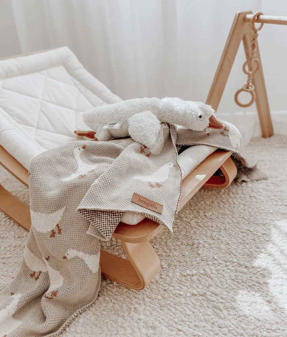 Bengali Teddy | Goose