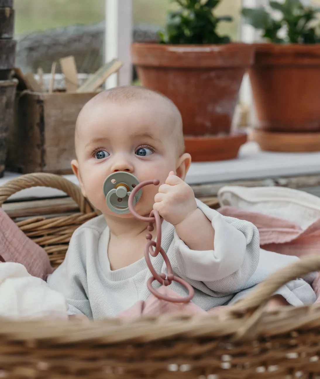 BIBS Loops (12 Pcs) - Sand / Dark Oak / Vanilla