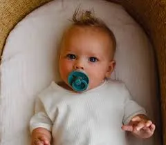 BIBS Pacifier Duo - Island Sea   Forest Lake