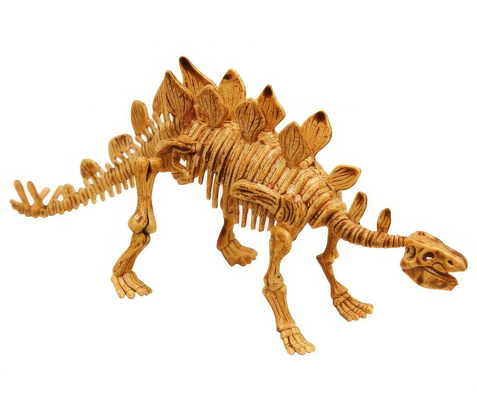 BUKI France Dino Kit Stegosaurus Dinosaur Fossil Digging Set