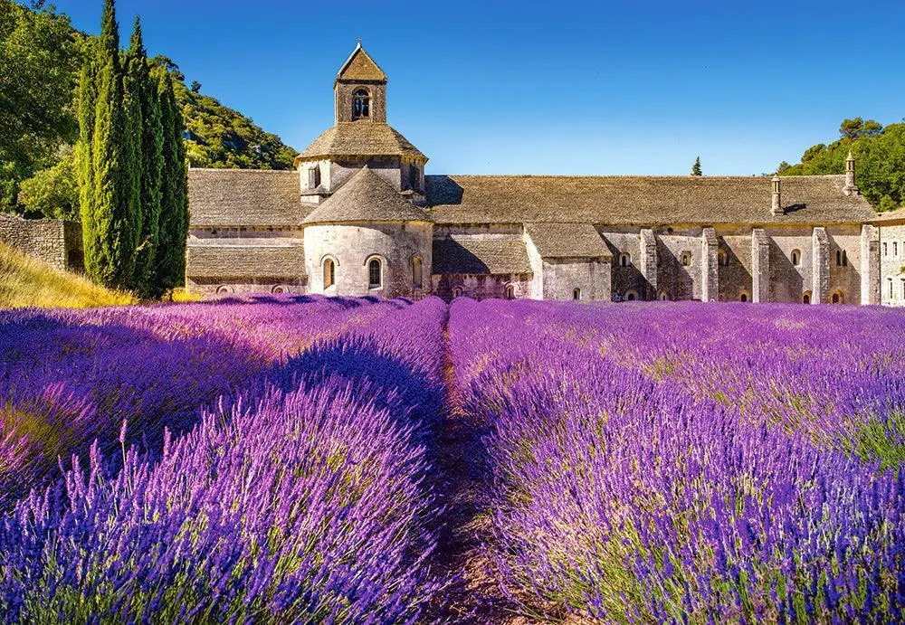 Castorland 1000 Piece Jigsaw Puzzle - Lavender Field in Provence