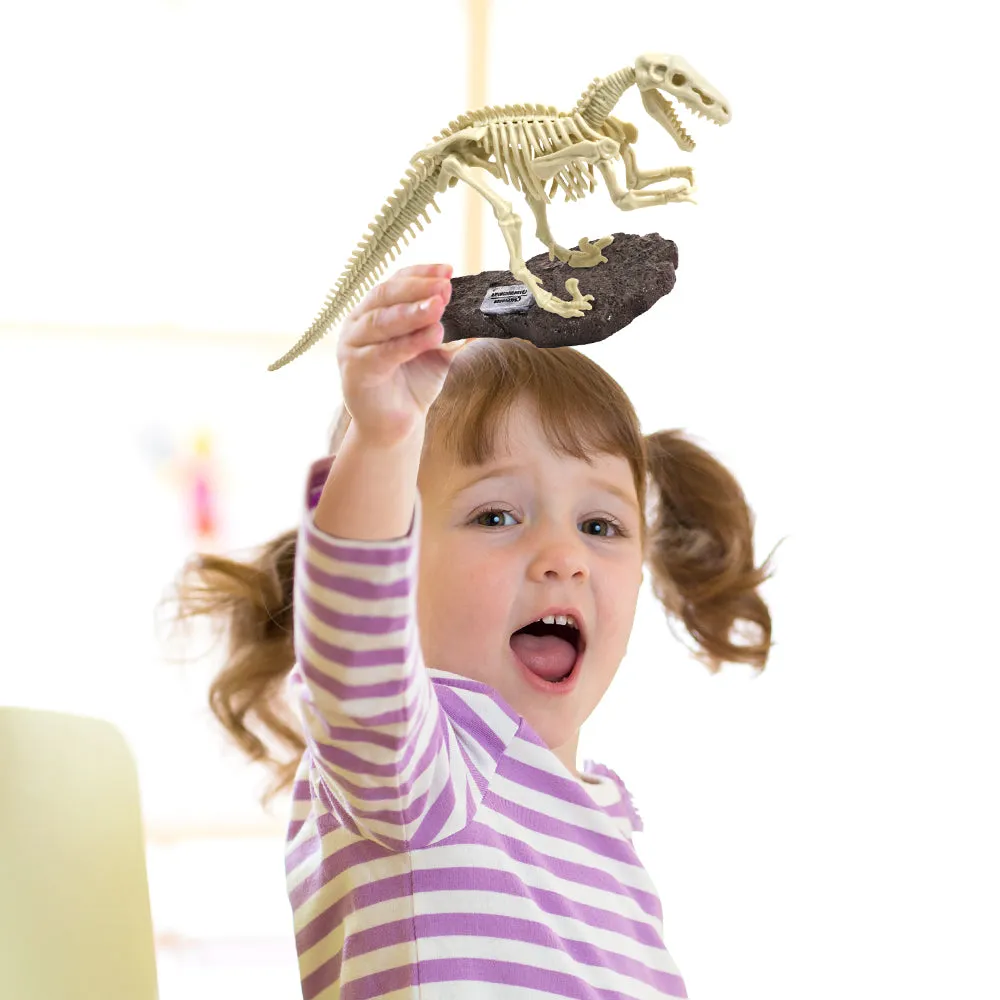 Dig & Discover Dinosaur Excavation Kit Velociraptor