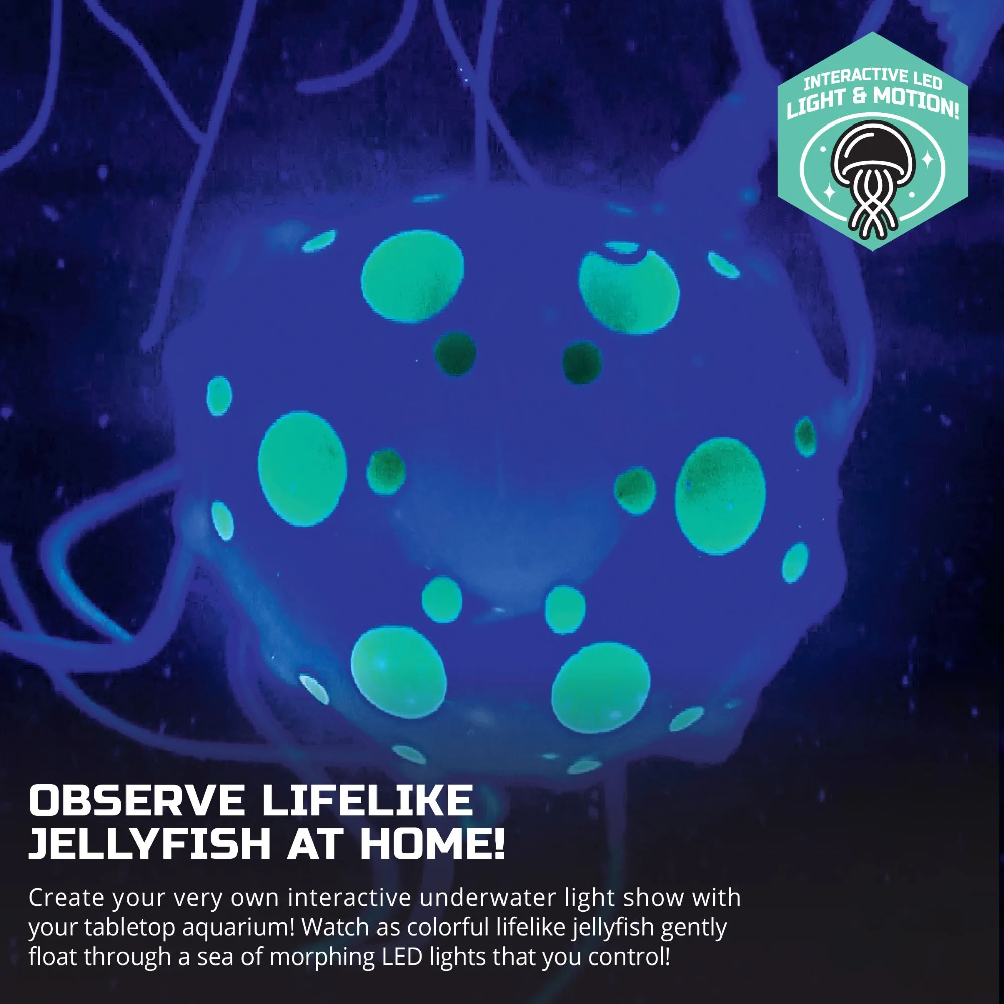 Discovery Mindblown Jellyfish Aquarium Lamp