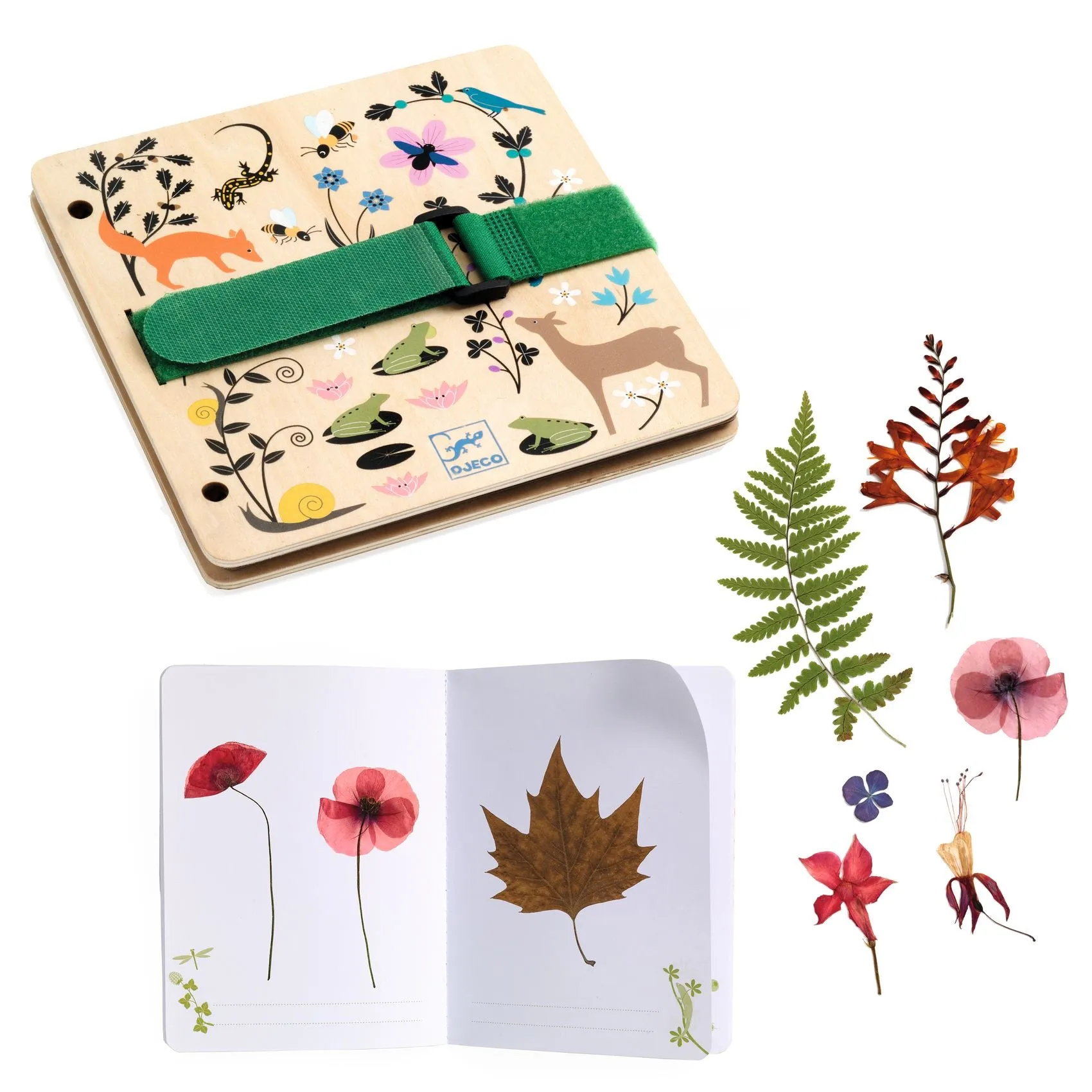 Djeco Craft | DIY - Budding Botanist