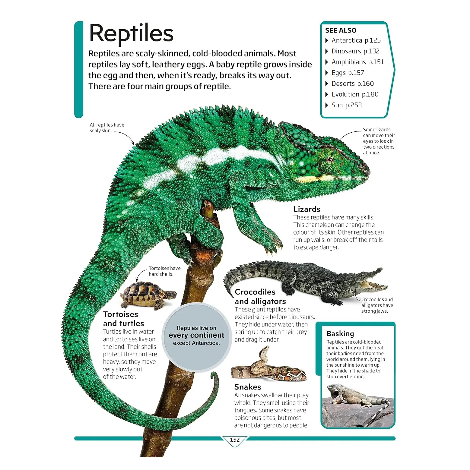 DK Children's Encyclopedia The Book That Explains Everything