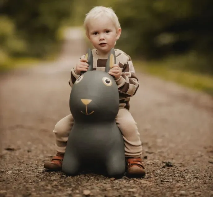 Find That Hippo: Hopping Animal - Rabbit