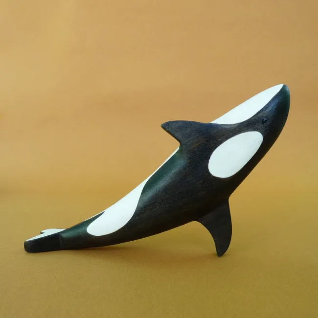 Forest Melody | Orca