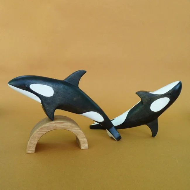 Forest Melody | Orca