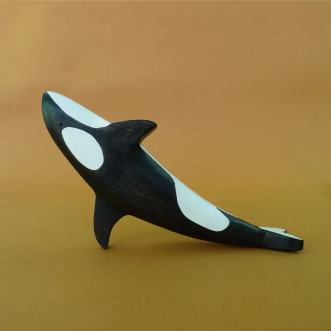 Forest Melody | Orca