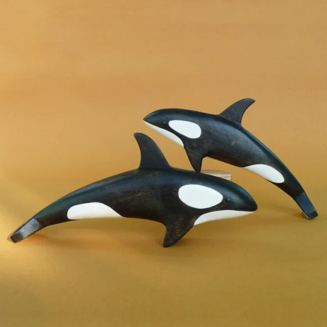 Forest Melody | Orca