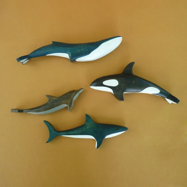 Forest Melody | Orca