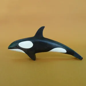 Forest Melody | Orca