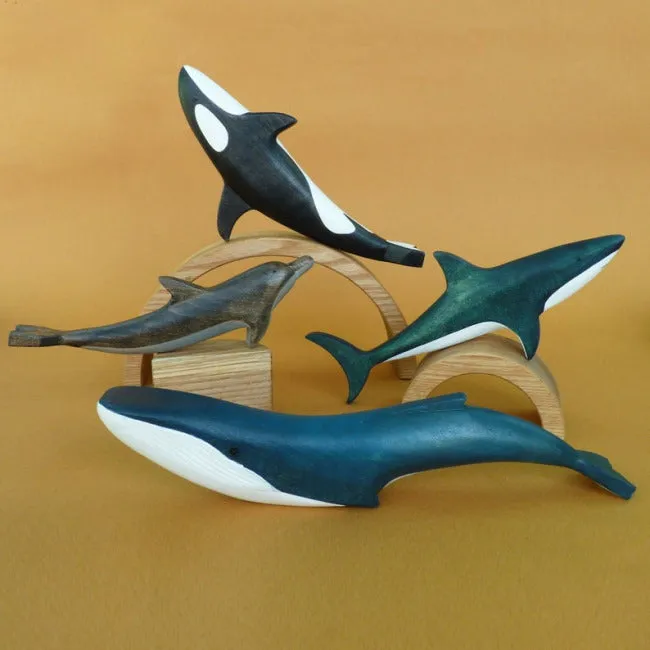Forest Melody | Orca