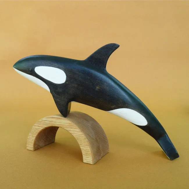 Forest Melody | Orca