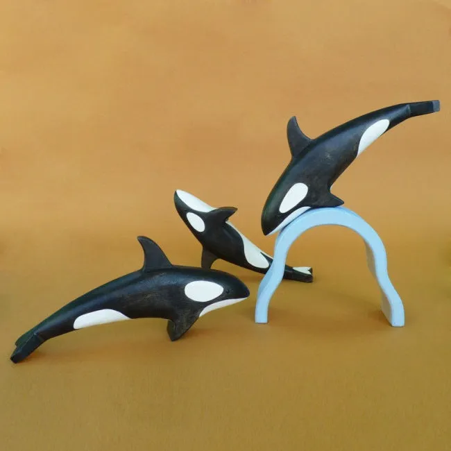 Forest Melody | Orca
