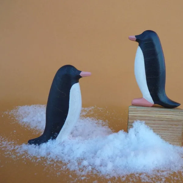 Forest Melody | Penguin