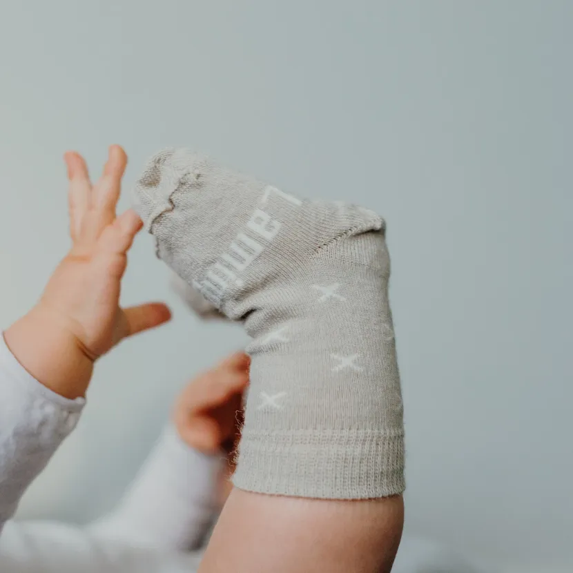 Lamington CREW Merino Socks | Ted