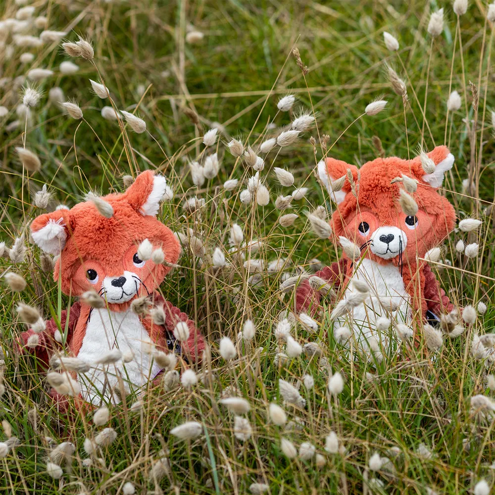 Les Deglingos Les Ptipotos, Raccoon Terracotta