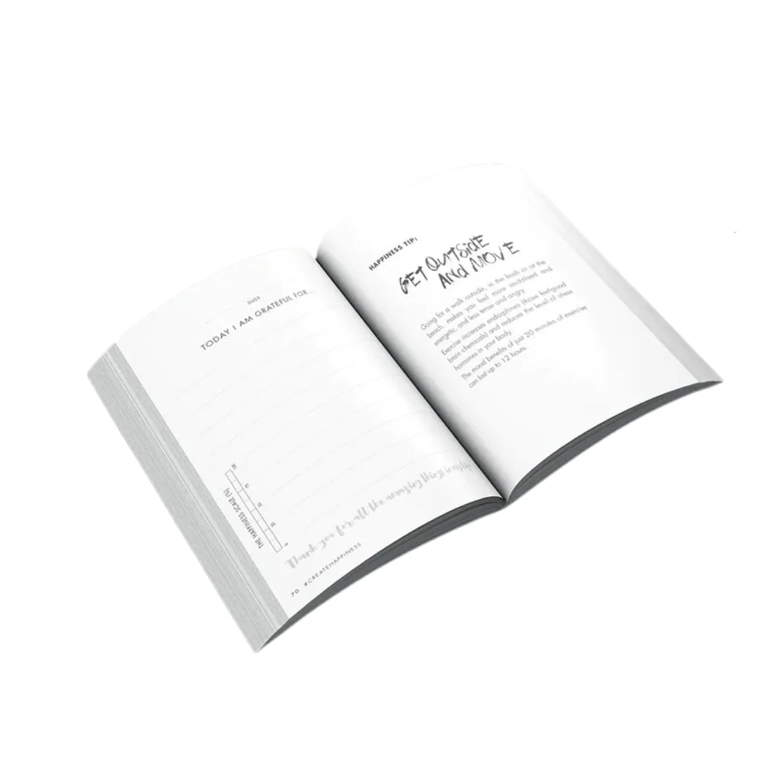 Mini Gratitude Journal for Adults & Teens - You Got This