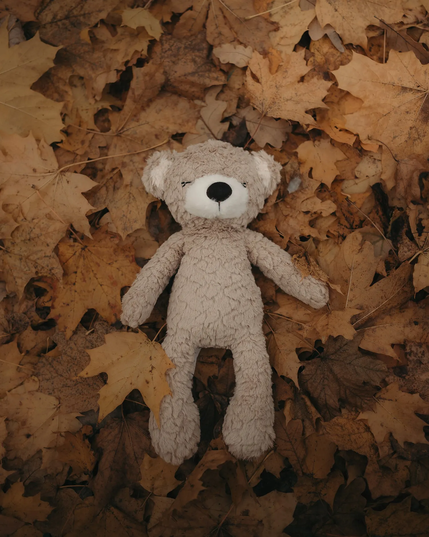 Mrs Ertha Plush | Teddy Bear Mr. Pyxie