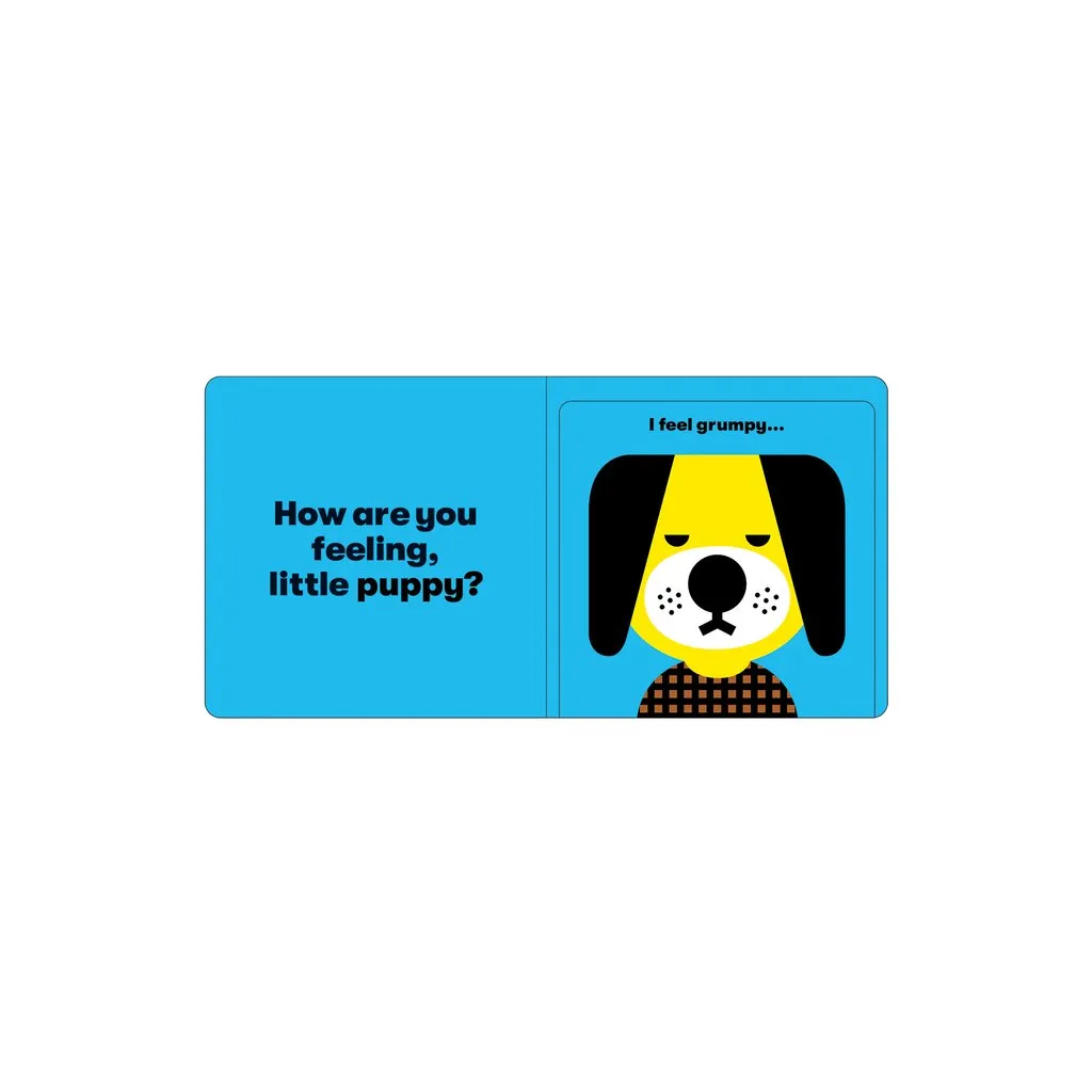 Mud Puppy How Are You Feeling? Board Book