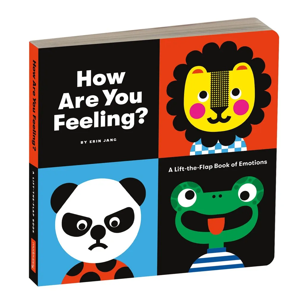 Mud Puppy How Are You Feeling? Board Book