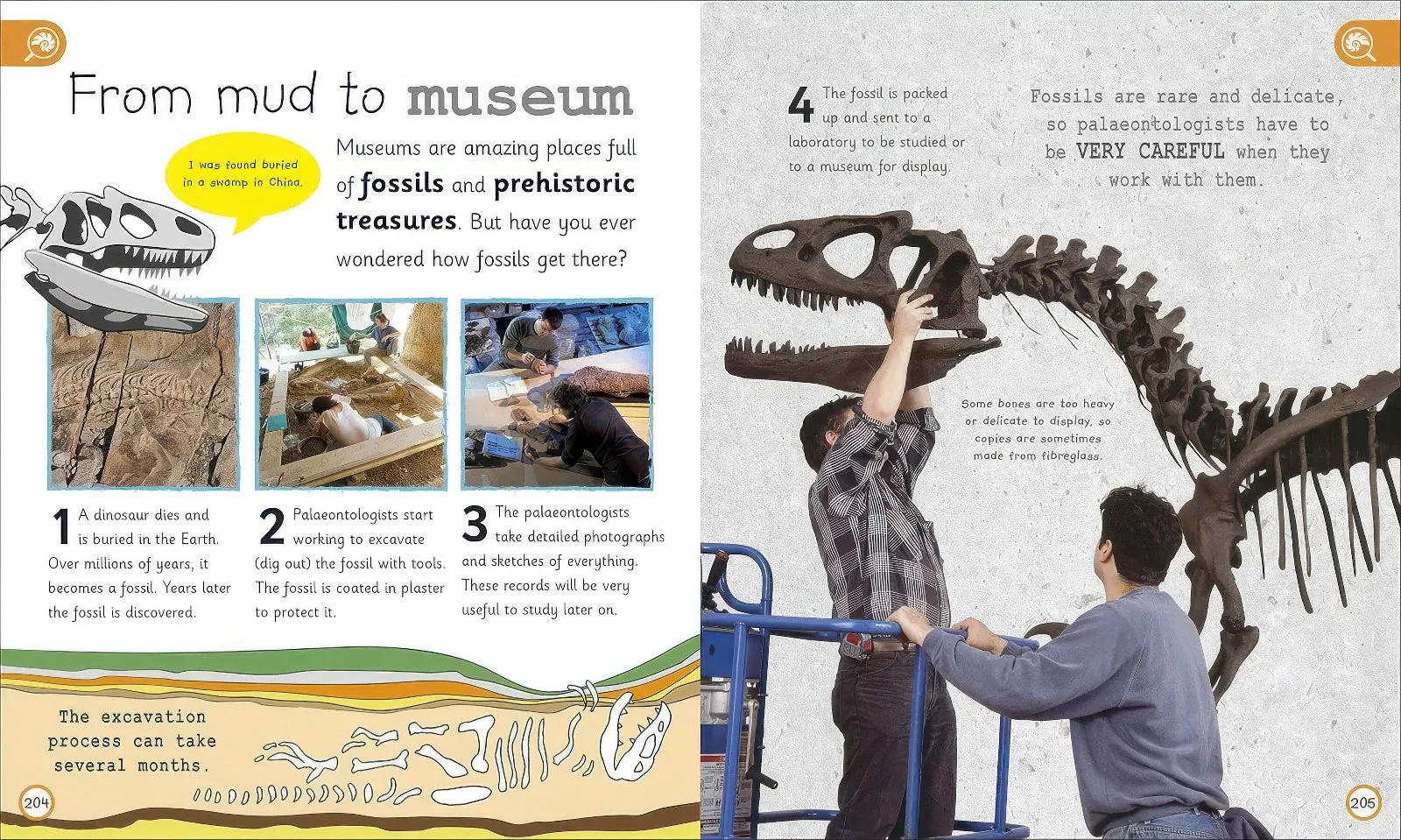 My Encyclopedia of Very Import Dinosaurs - Hardback Book