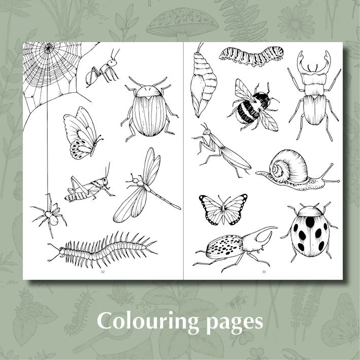 My First Wild Activity Book