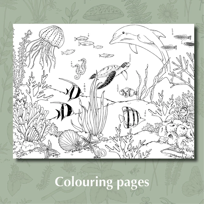 My First Wild Activity Book