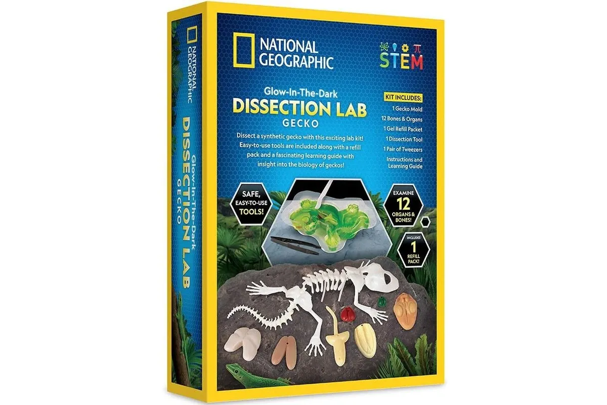 National Geographic Gecko Dissection Lab