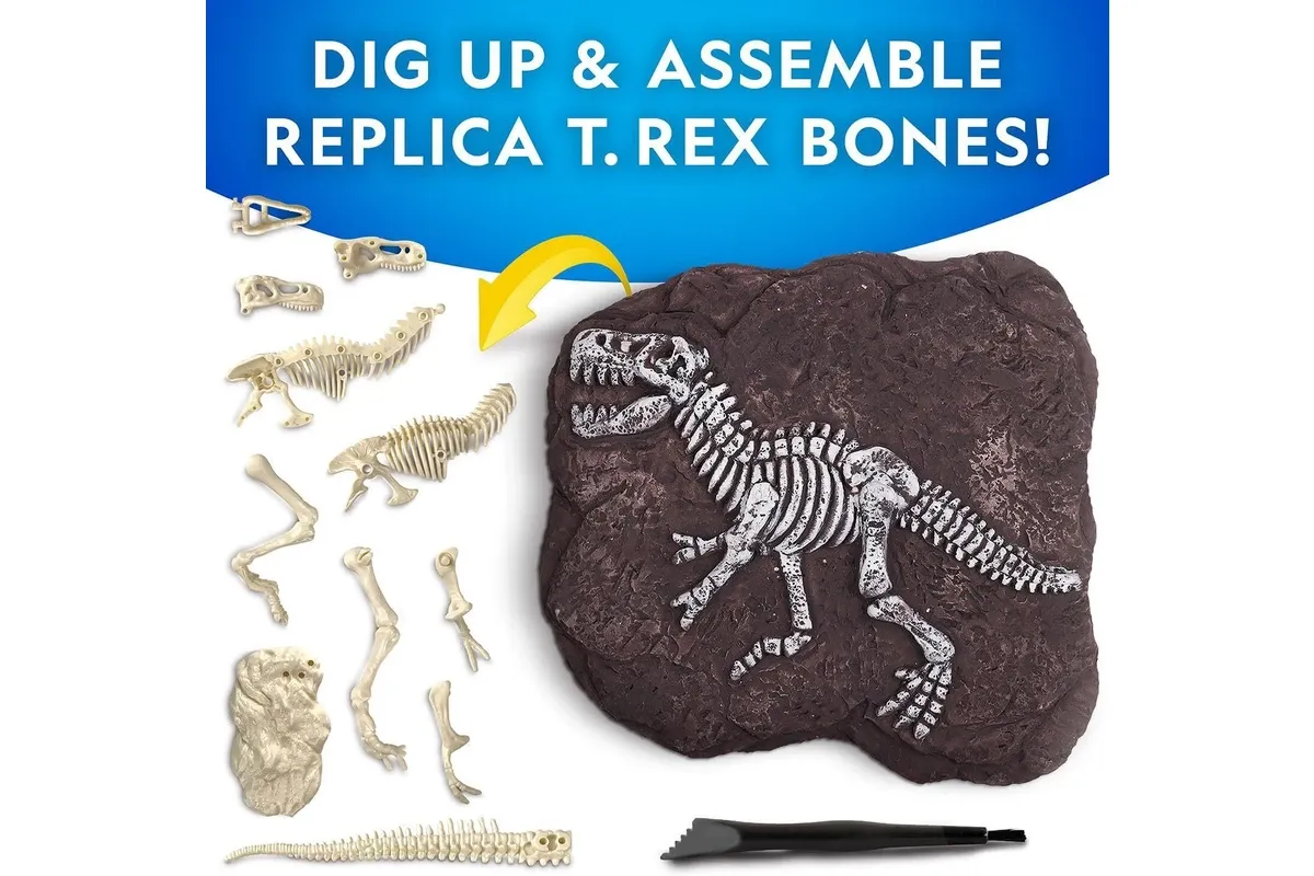 National Geographic - T-Rex Skeleton Dig Kit