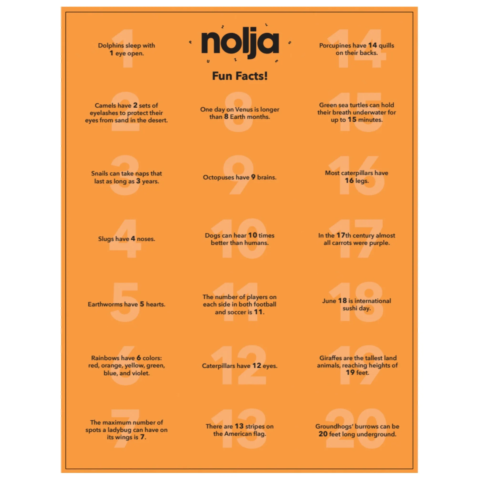 Nolja Easy As 1,2,3 36pc Jigsaw Puzzle