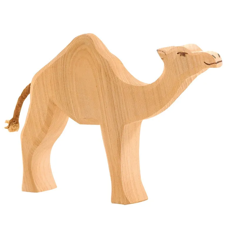 Ostheimer | Dromedary Camel