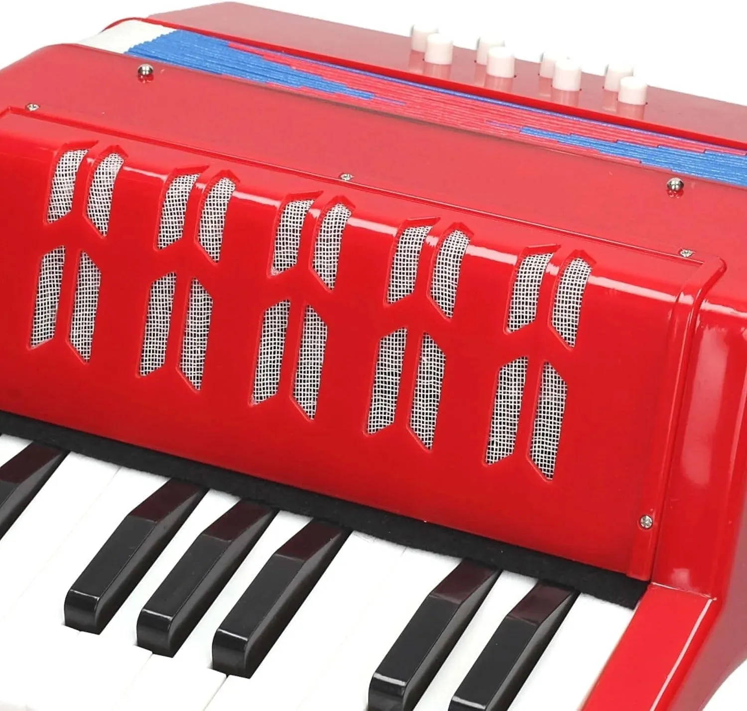 REIG Accordion Musical Instrument
