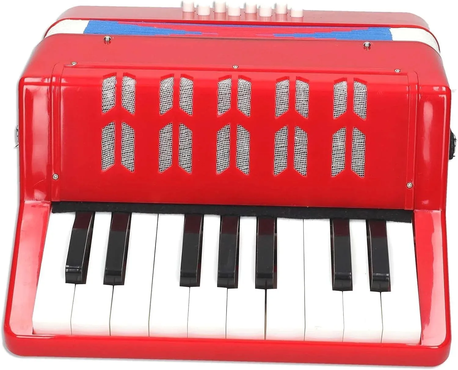 REIG Accordion Musical Instrument