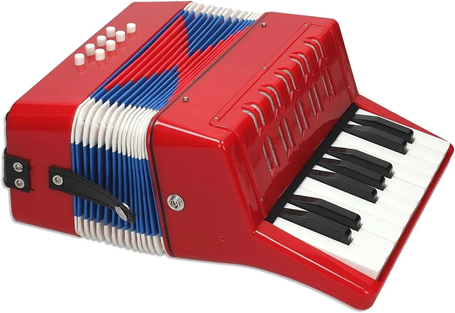 REIG Accordion Musical Instrument
