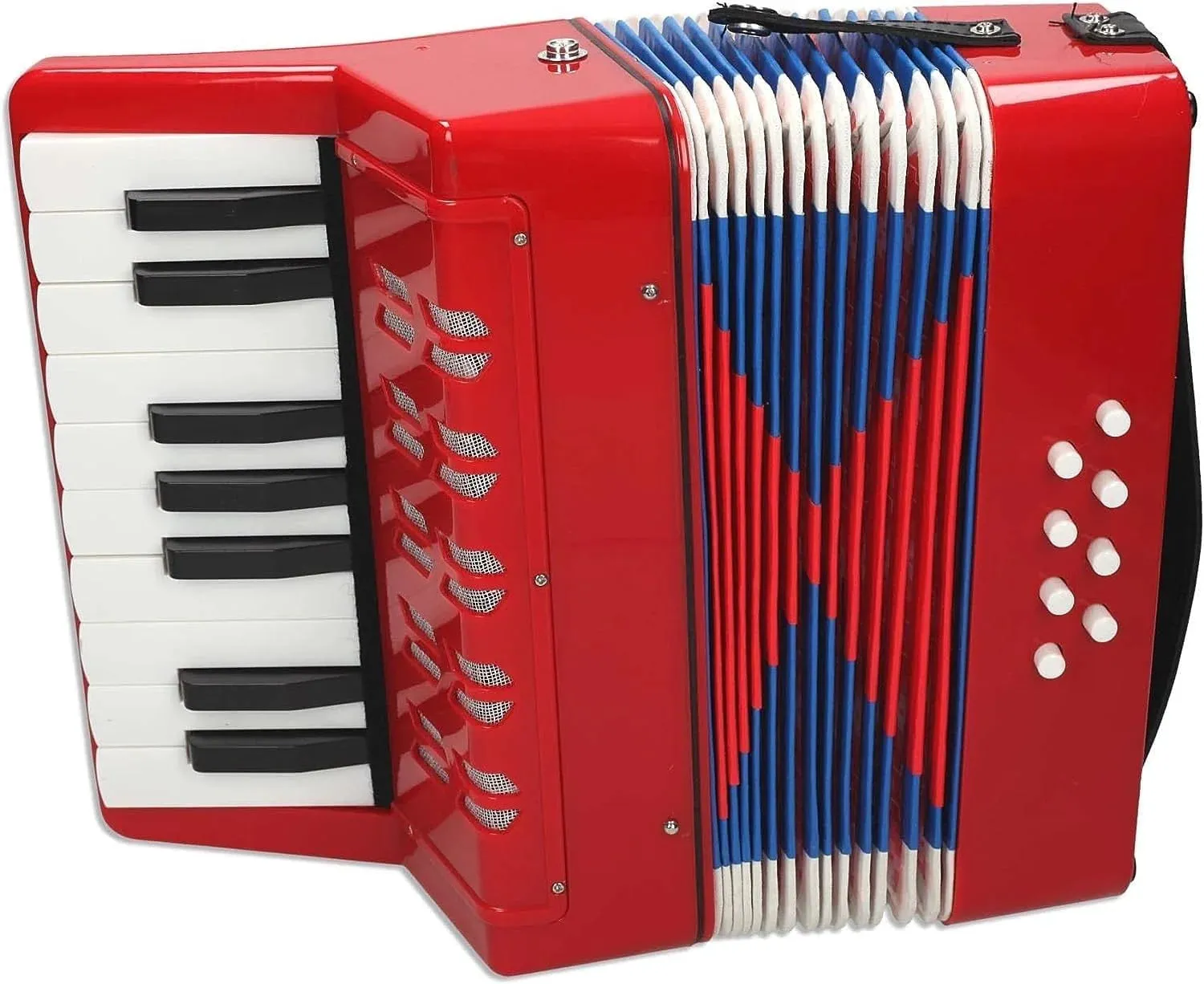 REIG Accordion Musical Instrument