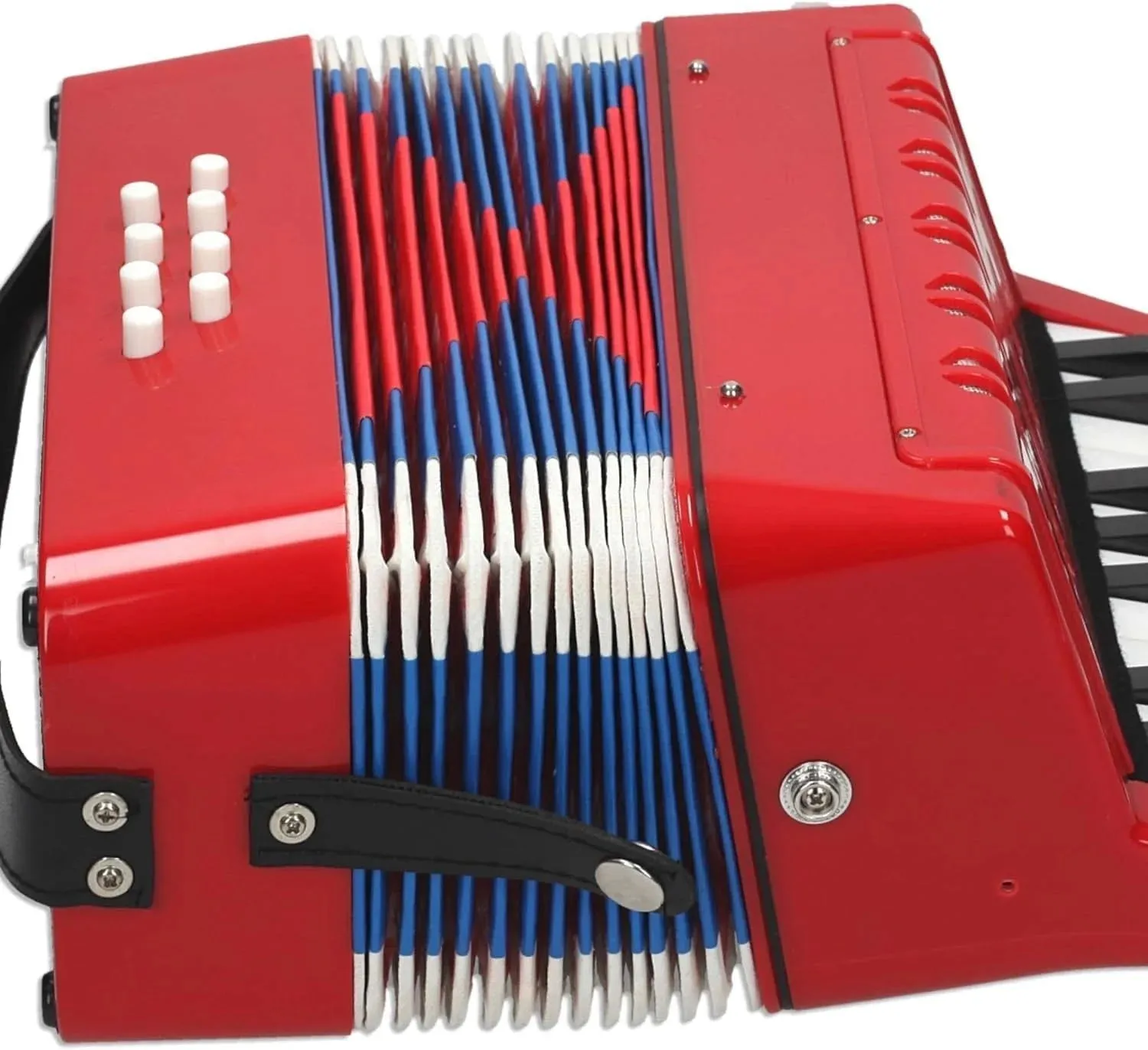 REIG Accordion Musical Instrument