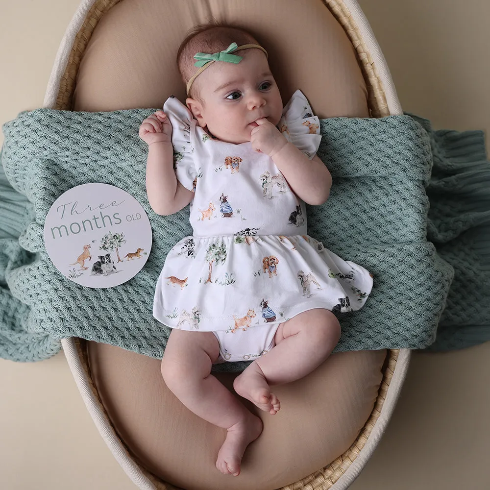 Reversible Milestone Cards | Dog Park   Seedling